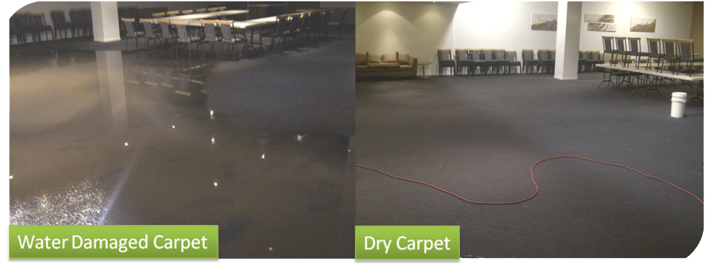 Water Damaged Carpet Before and After