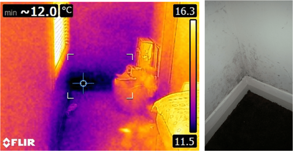 Mould Damage Assessement September 2014