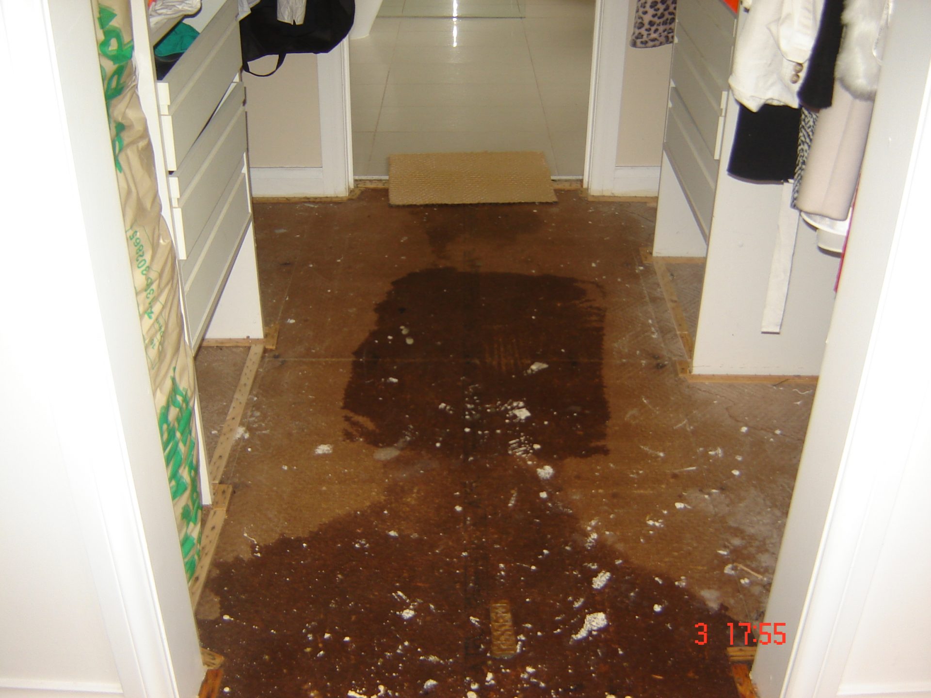 Check Weather Your Flooded Carpet Is Properly Dried Or Not 