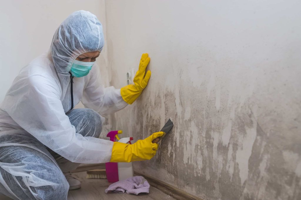 How Much Does A Mold Inspection Cost TruClean