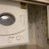 Laundry Mold